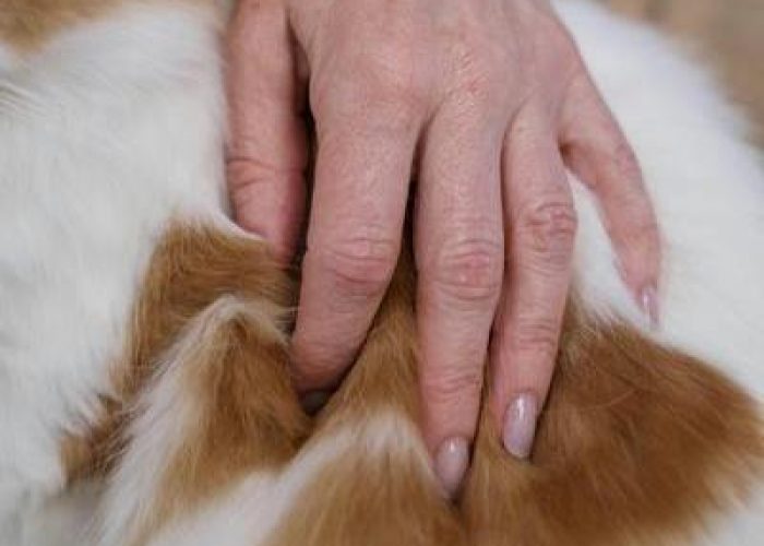 907887b1b92b4497b055d17714ed1863